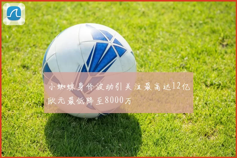 小蜘蛛身价波动引关注最高达12亿欧元最低降至8000万